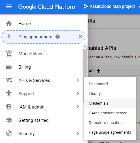 Google-geocoding-setup-05.png